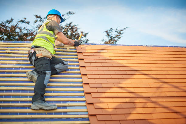 Best Metal Roofing Installation  in Ontonagon, MI